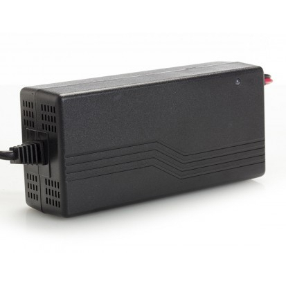 polar batterie - Caricabatteria Elettronico
