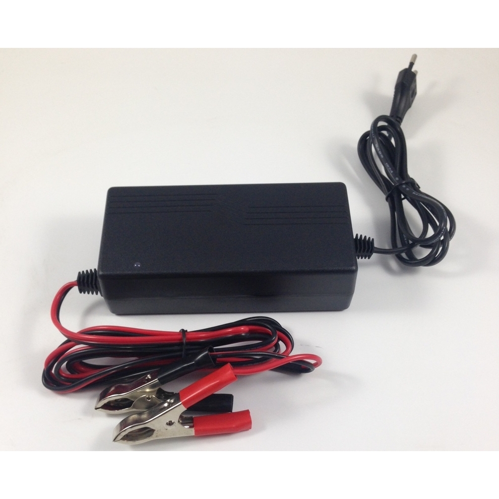 polar batterie - Caricabatteria elettronico